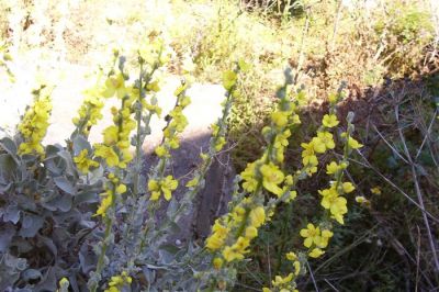 Κάντε κλικ για να δείτε την εικόνα σε πλήρες μέγεθος