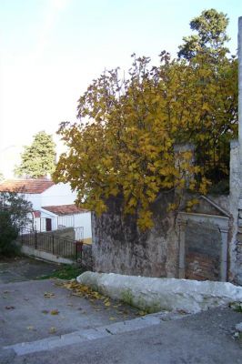 Κάντε κλικ για να δείτε την εικόνα σε πλήρες μέγεθος