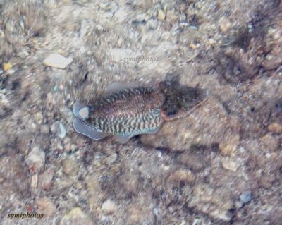 Κάντε κλικ για να δείτε την εικόνα σε πλήρες μέγεθος