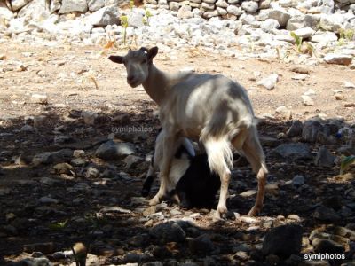 Κάντε κλικ για να δείτε την εικόνα σε πλήρες μέγεθος