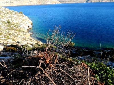 Tam boy resmi görebilmek için tıklayın