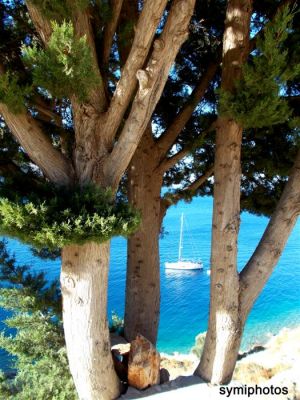 Κάντε κλικ για να δείτε την εικόνα σε πλήρες μέγεθος