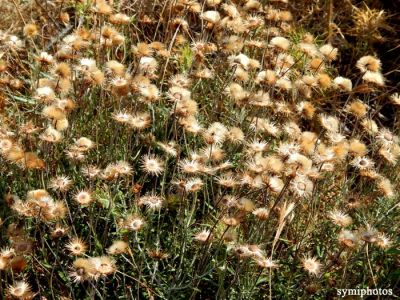Κάντε κλικ για να δείτε την εικόνα σε πλήρες μέγεθος