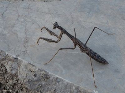 Κάντε κλικ για να δείτε την εικόνα σε πλήρες μέγεθος