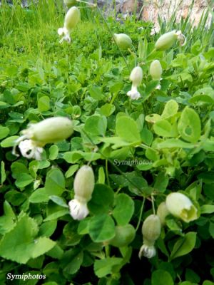 Κάντε κλικ για να δείτε την εικόνα σε πλήρες μέγεθος