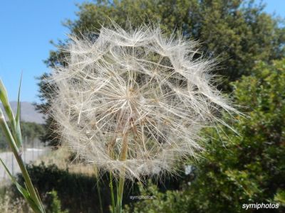 Κάντε κλικ για να δείτε την εικόνα σε πλήρες μέγεθος