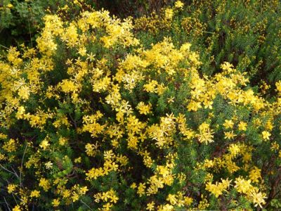 Κάντε κλικ για να δείτε την εικόνα σε πλήρες μέγεθος