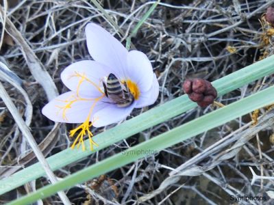 Κάντε κλικ για να δείτε την εικόνα σε πλήρες μέγεθος