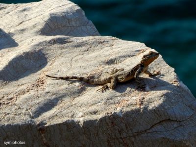 Κάντε κλικ για να δείτε την εικόνα σε πλήρες μέγεθος