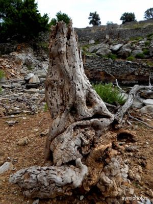 Κάντε κλικ για να δείτε την εικόνα σε πλήρες μέγεθος