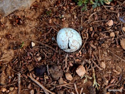 Κάντε κλικ για να δείτε την εικόνα σε πλήρες μέγεθος