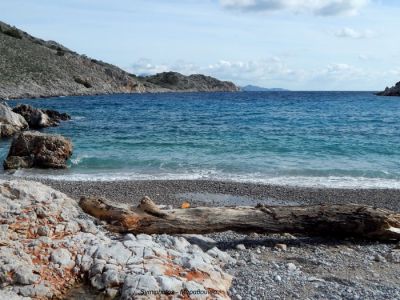 Tam boy resmi görebilmek için tıklayın