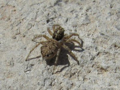 Κάντε κλικ για να δείτε την εικόνα σε πλήρες μέγεθος