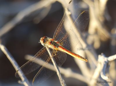 Κάντε κλικ για να δείτε την εικόνα σε πλήρες μέγεθος