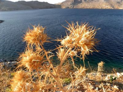 Κάντε κλικ για να δείτε την εικόνα σε πλήρες μέγεθος
