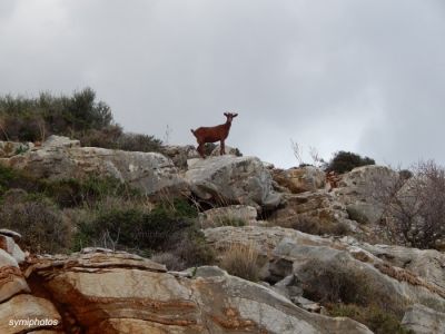 Κάντε κλικ για να δείτε την εικόνα σε πλήρες μέγεθος
