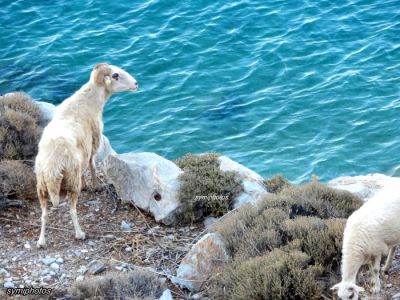 Κάντε κλικ για να δείτε την εικόνα σε πλήρες μέγεθος