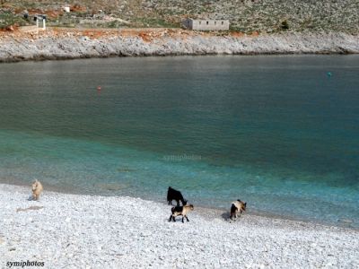 Κάντε κλικ για να δείτε την εικόνα σε πλήρες μέγεθος