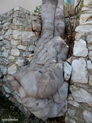 Κάντε κλικ για να δείτε την εικόνα σε πλήρες μέγεθος