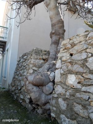 Κάντε κλικ για να δείτε την εικόνα σε πλήρες μέγεθος