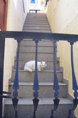 Κάντε κλικ για να δείτε την εικόνα σε πλήρες μέγεθος