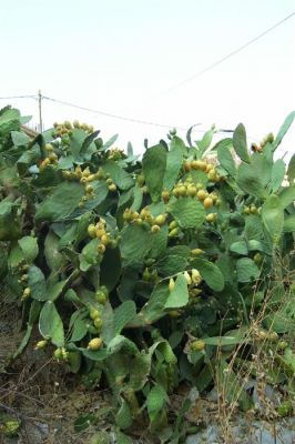 Κάντε κλικ για να δείτε την εικόνα σε πλήρες μέγεθος