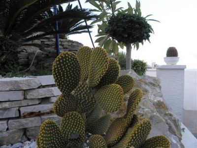 Κάντε κλικ για να δείτε την εικόνα σε πλήρες μέγεθος