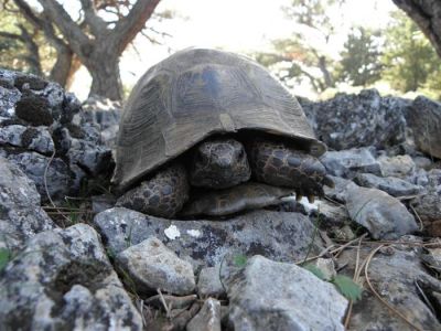 Κάντε κλικ για να δείτε την εικόνα σε πλήρες μέγεθος