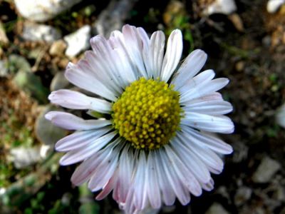 Κάντε κλικ για να δείτε την εικόνα σε πλήρες μέγεθος