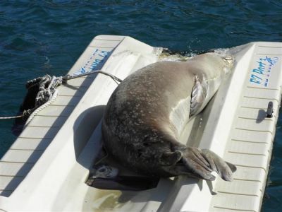 Κάντε κλικ για να δείτε την εικόνα σε πλήρες μέγεθος
