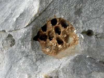 Κάντε κλικ για να δείτε την εικόνα σε πλήρες μέγεθος