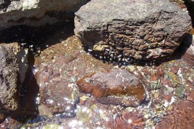 Tam boy resmi görebilmek için tıklayın