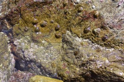 Κάντε κλικ για να δείτε την εικόνα σε πλήρες μέγεθος