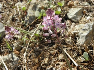 Κάντε κλικ για να δείτε την εικόνα σε πλήρες μέγεθος